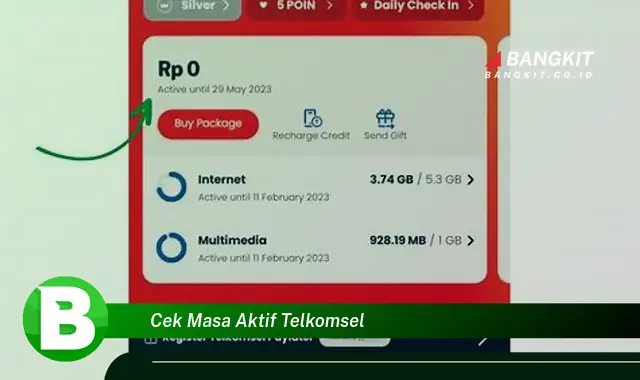 Intip Hal Tentang Cara Cek Masa Aktif Telkomsel yang Wajib Kamu Ketahui