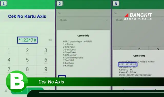 Ketahui Rahasia yang Jarang Diketahui untuk Cek No Axis