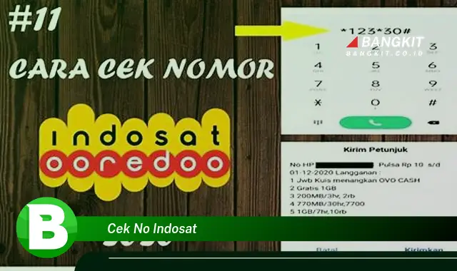 Intip Rahasia Dibalik Cek Nomor Indosat yang Jarang Diketahui