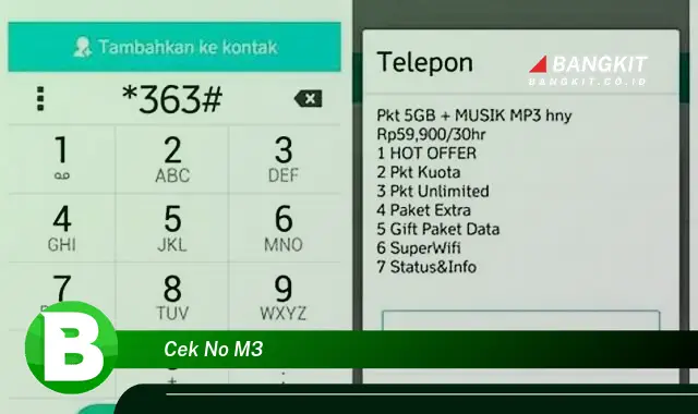 Intip Cara Cek No M3 yang Wajib Kamu Intip
