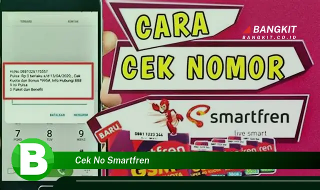 Intip Cara Mudah Cek No Smartfren yang Bikin Kamu Penasaran