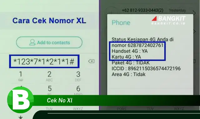 Intip Rahasia Cek No XL yang Jarang Diketahui