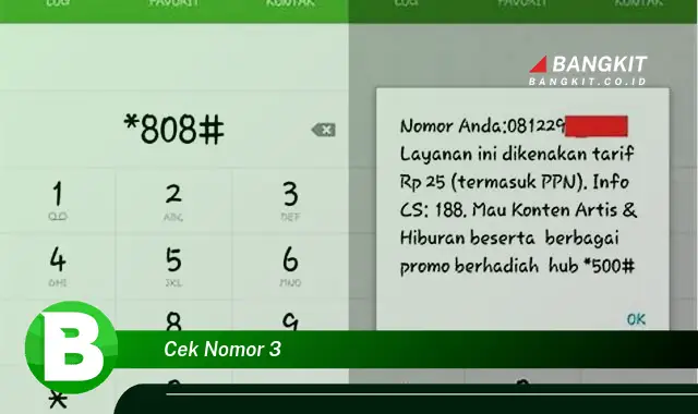 Intip Rahasia Cek Nomor 3 yang Bikin Kamu Penasaran