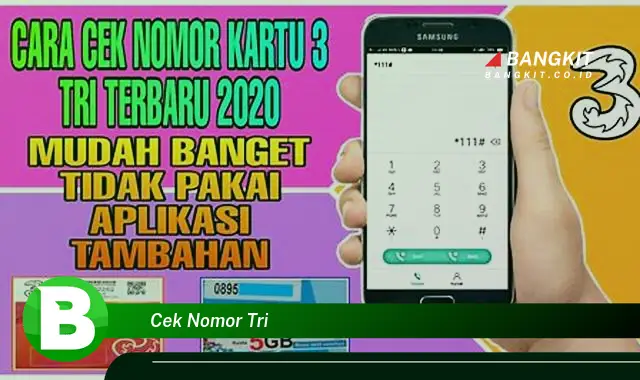 Intip Rahasia Cek Nomor Tri yang Jarang Diketahui