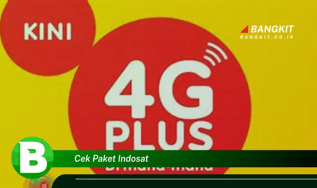 Ketahui Cara Cek Paket Indosat yang Wajib Kamu Intip