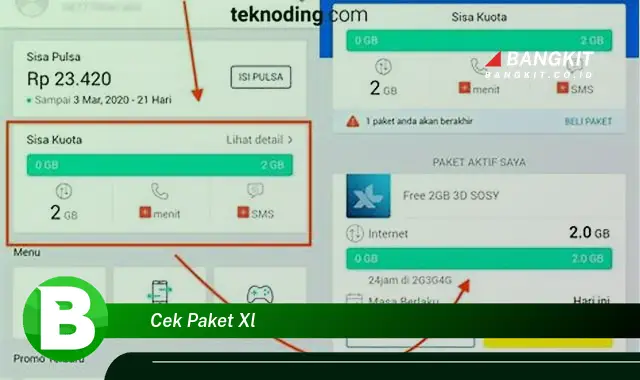 Intip Rahasia Cek Paket XL yang Bikin Penasaran