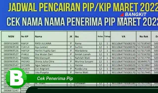 Ketahui Hal Tentang Cek Penerima PIP yang Jarang Diketahui