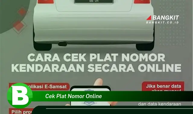 Coba Intip Rahasia Cek Plat Nomor Online yang Wajib Kamu Ketahui