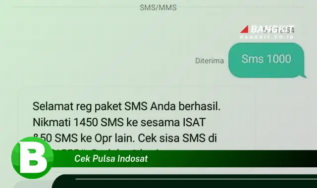 Intip Cara Cek Pulsa Indosat yang Wajib Kamu Intip!