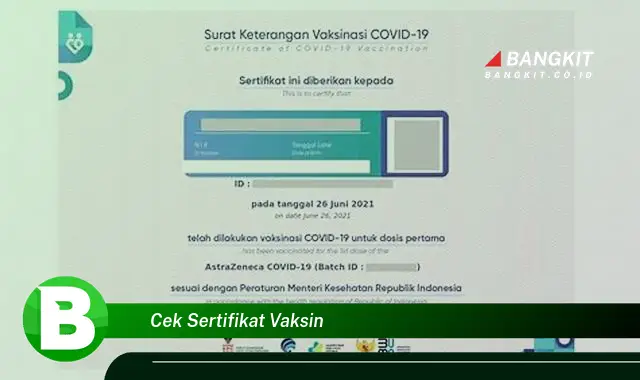 Intip Hal Tentang Cek Sertifikat Vaksin yang Bikin Kamu Penasaran