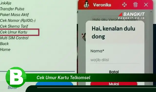 Intip Rahasia Umur Kartu Telkomselmu yang Bikin Penasaran