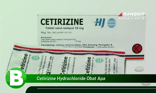 Intip Hal Tentang Cetirizine Hydrochloride yang Bikin Kamu Penasaran!