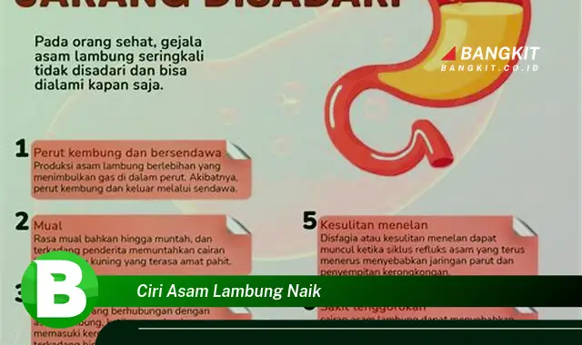 Intip Ciri-Ciri Asam Lambung Naik yang Wajib Kamu Tahu