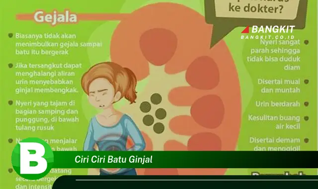 Intip Ciri Ciri Batu Ginjal yang Bikin Kamu Penasaran