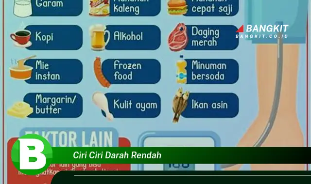 Intip Hal Menarik Seputar Ciri-ciri Darah Rendah yang Jarang Diketahui