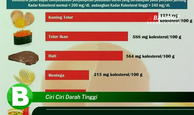 Intip Hal Tentang Ciri Ciri Darah Tinggi yang Bikin Kamu Penasaran