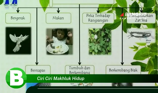 Intip Ciri-Ciri Makhluk Hidup yang Bikin Kamu Penasaran