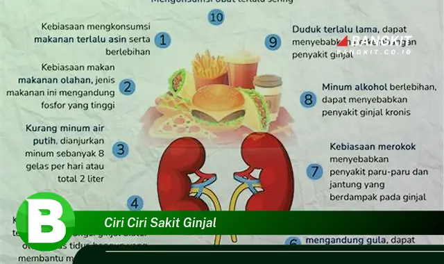 Intip Hal Tentang Ciri-Ciri Sakit Ginjal yang Bikin Kamu Penasaran