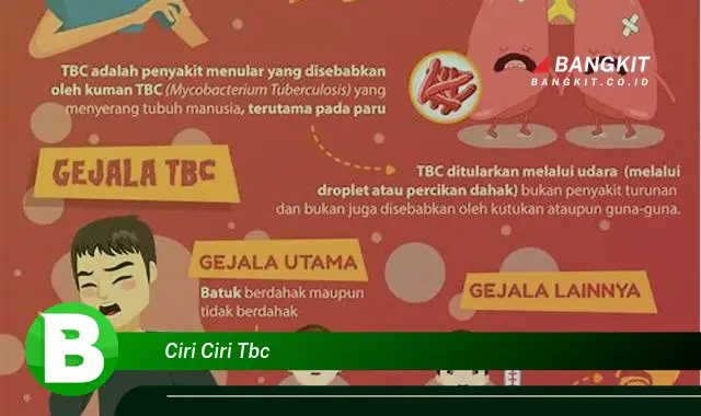 Intip Hal Tentang Ciri-ciri TBC yang Wajib Kamu Tahu