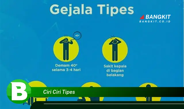 Intip Ciri-ciri Tipes yang Wajib Kamu Ketahui