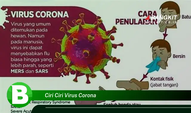 Ketahui Hal Mencengangkan tentang Ciri-ciri Virus Corona