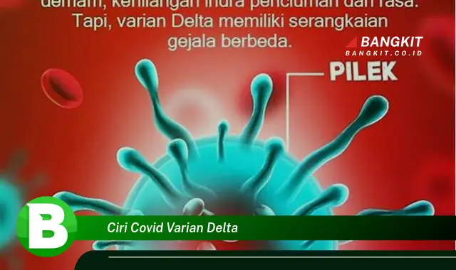 Intip Ciri Covid Varian Delta yang Bikin Kamu Penasaran