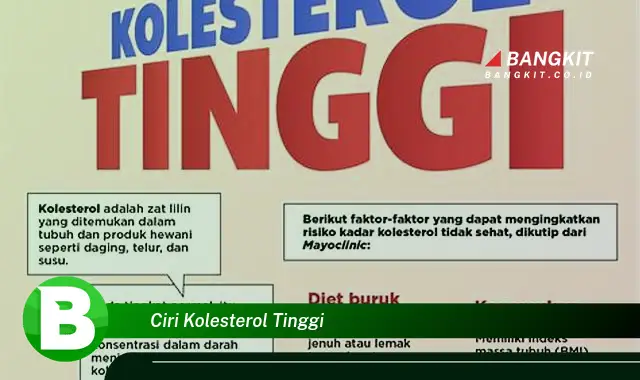 Intip Gejala Kolesterol Tinggi yang Bikin Kamu Penasaran