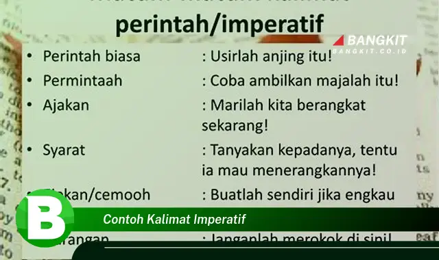 Ketahui Contoh Kalimat Imperatif yang Jarang Diketahui