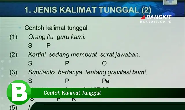 Intip Contoh Kalimat Tunggal yang Bikin Kamu Penasaran