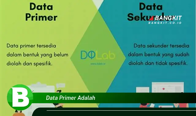 Ketahui Hal Tentang Data Primer yang Bikin Kamu Penasaran