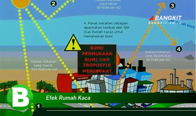 Intip Hal Menarik Tentang Efek Rumah Kaca yang Wajib Kamu Intip