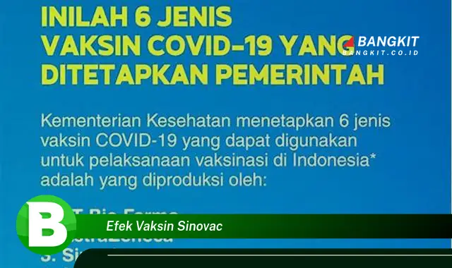 Intip Hal Tentang Efek Vaksin Sinovac yang Bikin Kamu Penasaran