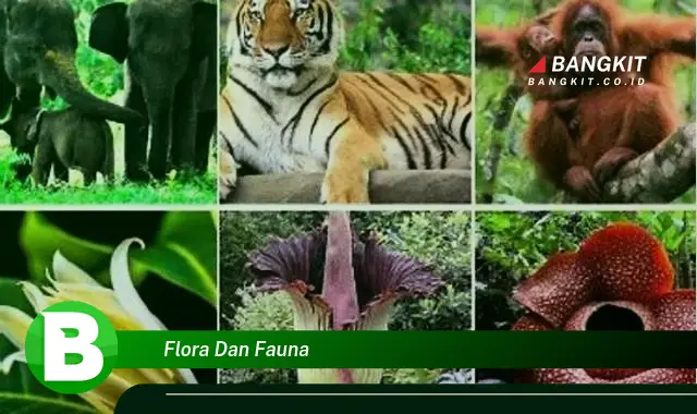 Intip Rahasia Tersembunyi Flora dan Fauna