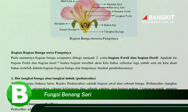 Intip Fungsi Benang Sari yang Jarang Diketahui