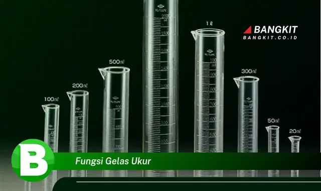 Intip Fungsi Gelas Ukur yang Wajib Kamu Intip