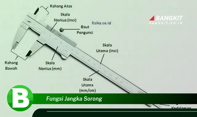 Intip Fungsi Jangka Sorong yang Wajib Kamu Tahukan