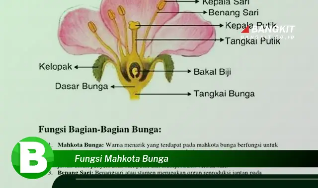 Intip Fungsi Mahkota Bunga yang Bikin Kamu Penasaran