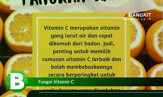 Ketahui Fungsi Vitamin C yang Jarang Diketahui