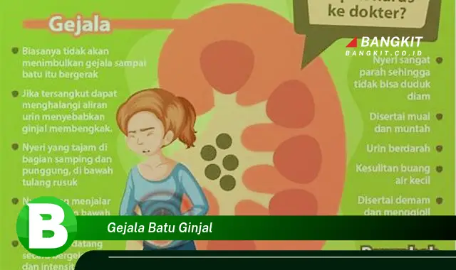 Intip Hal Tentang Gejala Batu Ginjal yang Wajib Kamu Ketahui