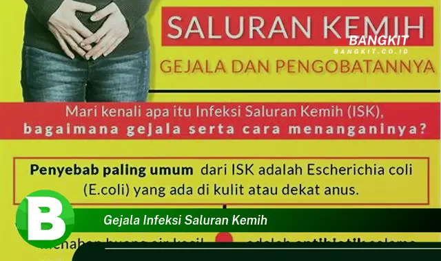 Intip Gejala Infeksi Saluran Kemih yang Bikin Kamu Penasaran