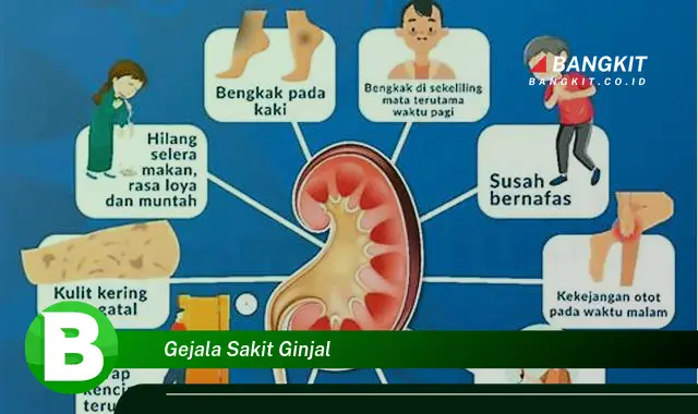 Intip Gejala Sakit Ginjal yang Wajib Kamu Intip