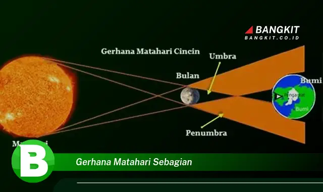 Intip Hal Tak Biasa Tentang Gerhana Matahari Sebagian yang Bikin Kamu Penasaran