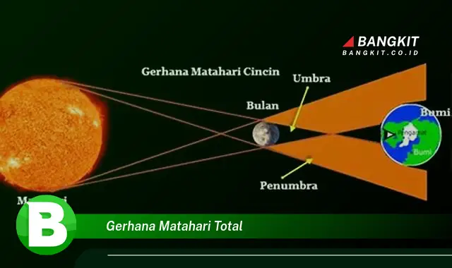 Intip Hal-hal Mencengangkan tentang Gerhana Matahari Total!