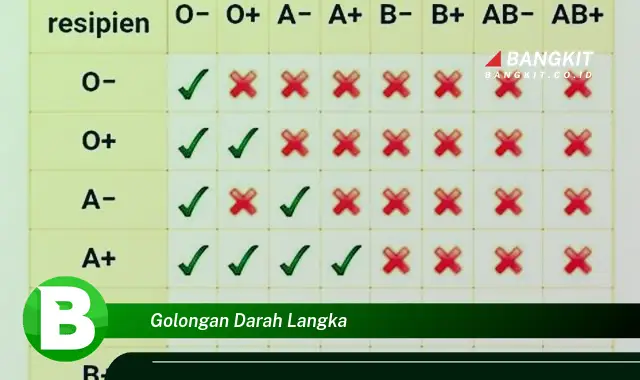 Intip Hal Seputar Golongan Darah Langka yang Bikin Kamu Penasaran!