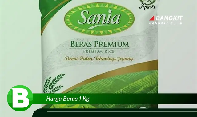 Intip Hal Tentang Harga Beras 1 Kg yang Bikin Kamu Penasaran