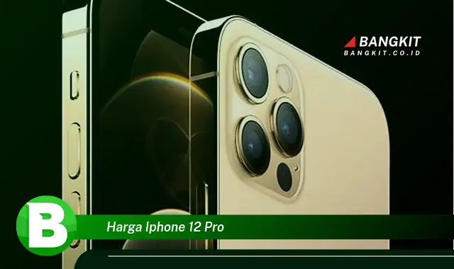 Intip Hal Tentang Harga iPhone 12 Pro yang Bikin Kamu Penasaran