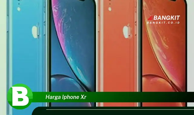 Intip Harga iPhone XR yang Bikin Kamu Penasaran!