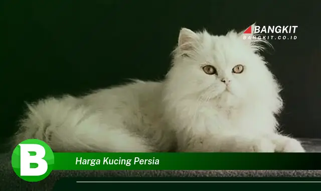 Intip Hal Tentang Harga Kucing Persia yang Bikin Kamu Penasaran!