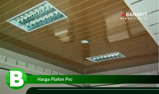 Intip Hal Tentang Harga Plafon PVC yang Jarang Diketahui