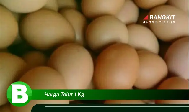 Intip Hal Tentang Harga Telur 1 Kg yang Wajib Kamu Intip